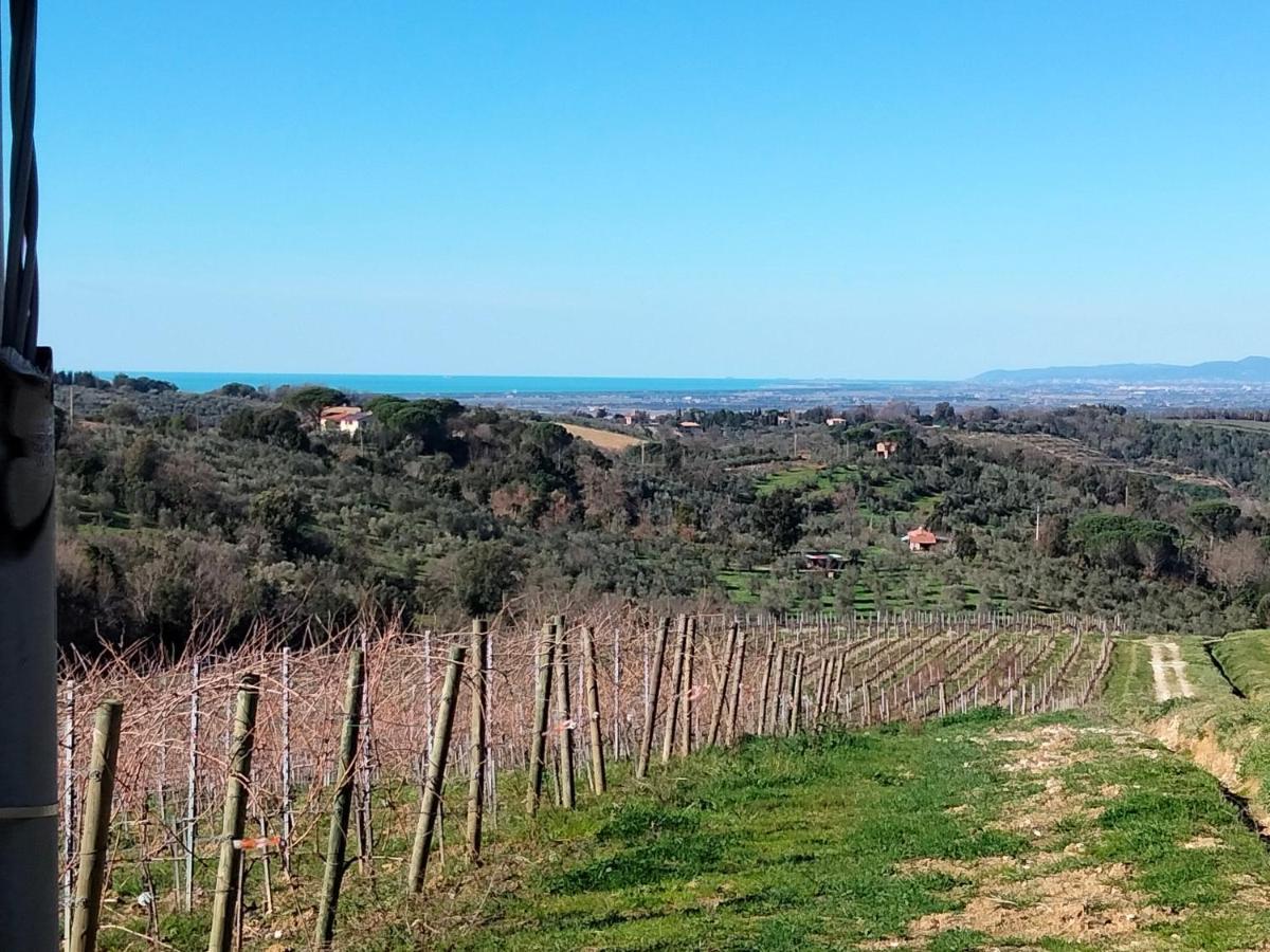 Apartment Il Cuoricino Podere Le Bozze Con Piscina, Wi-fi, Posto Auto *