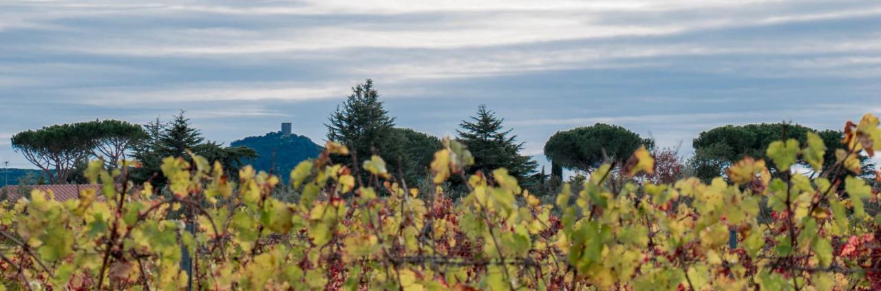 Il Cuoricino Podere Le Bozze Con Piscina, Wi-fi, Posto Auto Castagneto Carducci